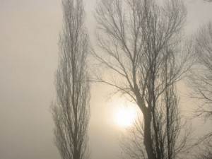 nebbia1