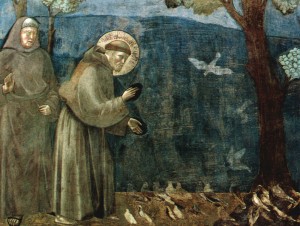 f giotto-san-francesco-predica-agli-uccelli