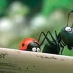 formica e coccinella
